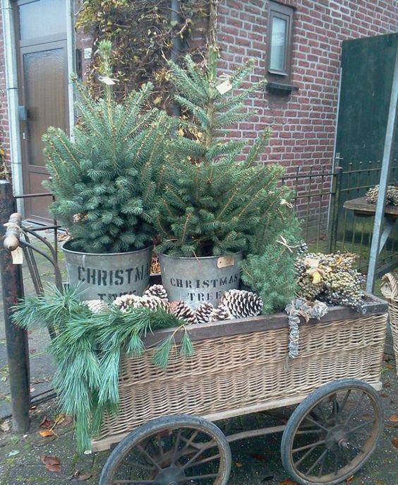 a wicker trolley display with oversized pinecones, evergreens and two trees in buckets