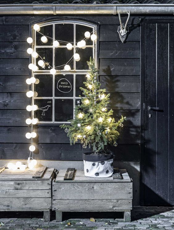 small potted tree with star-shaped lights