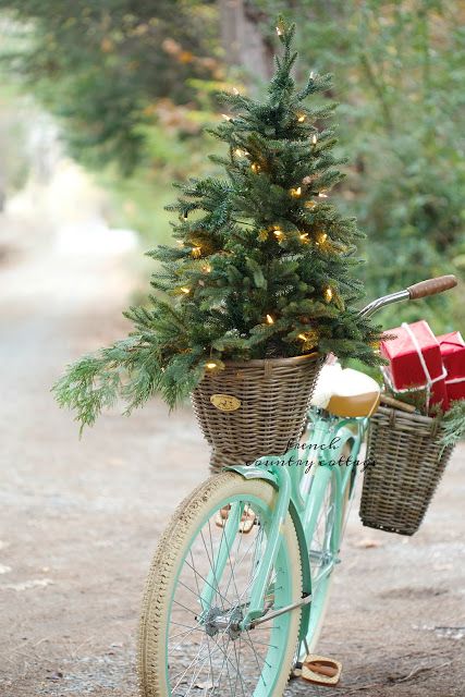 a small tree with lights in a basket of a mint-colored bike has a wow factor