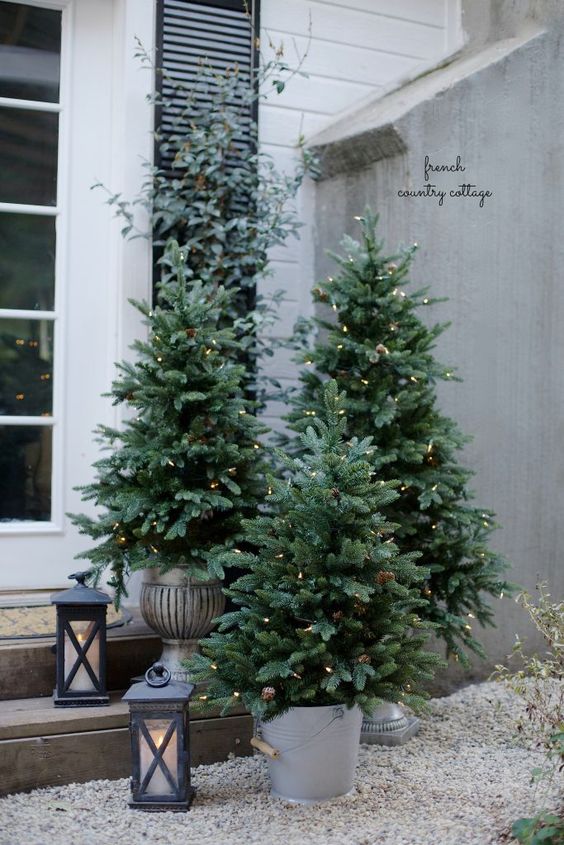 potted trees with lights make a big impact on front porch decor
