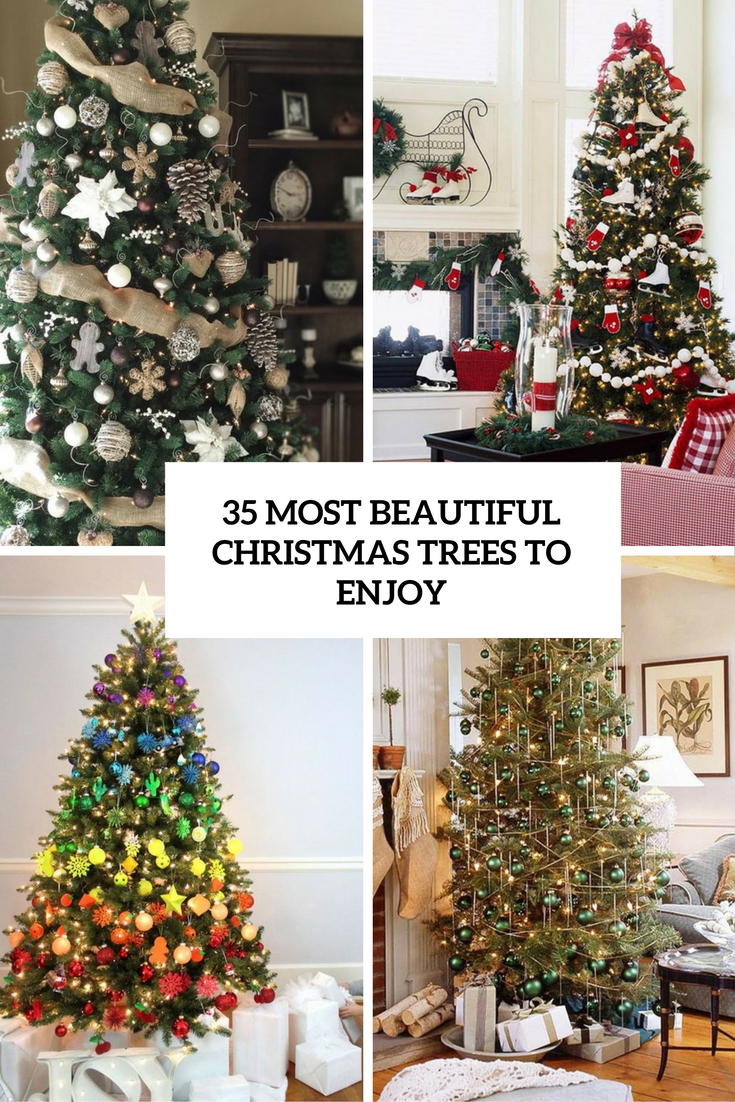 35 Most Beautiful Christmas Trees To Enjoy