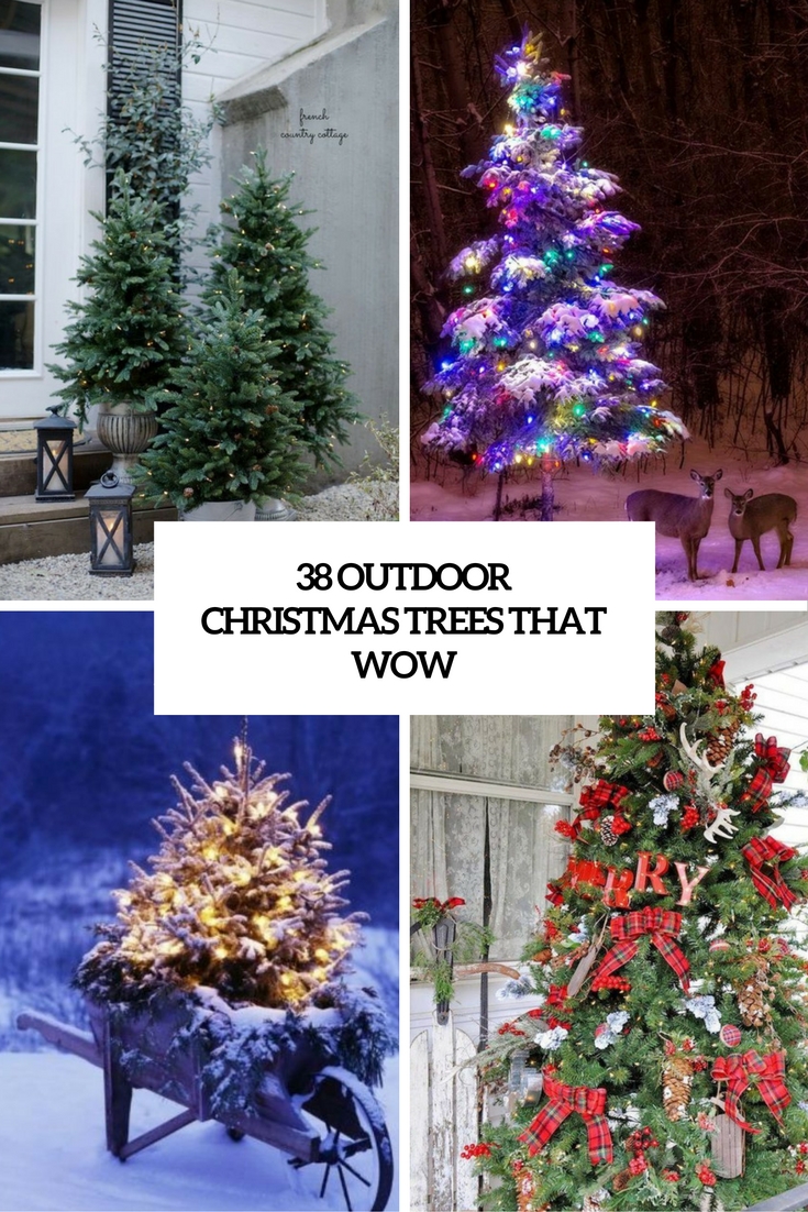38 Outdoor Christmas Trees That Wow
