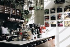 hanging greenery and living walls fit well modern coffee shops