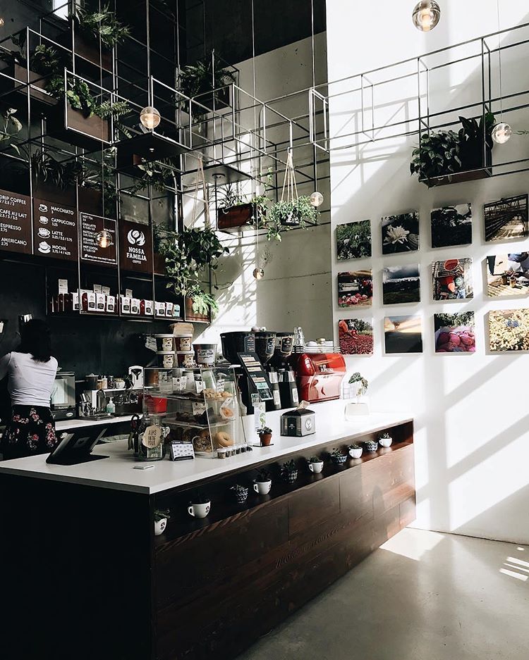 hanging greenery and living walls fit well modern coffee shops (via @nossafamiliacoffee)
