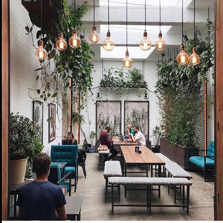 greenery and industrial lights is an interesting mix to make the a creative environment (via @rhonajack)