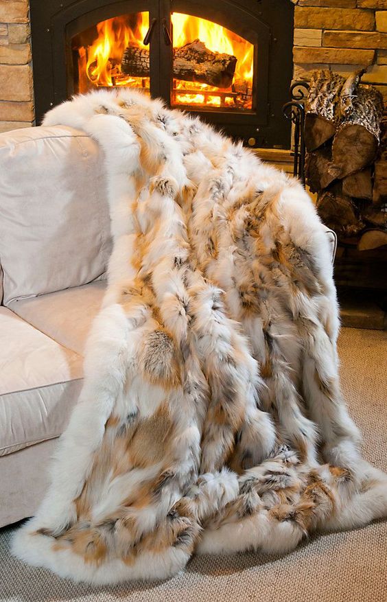 fur blanket is a very cozy thing and looks luxurious in any interior