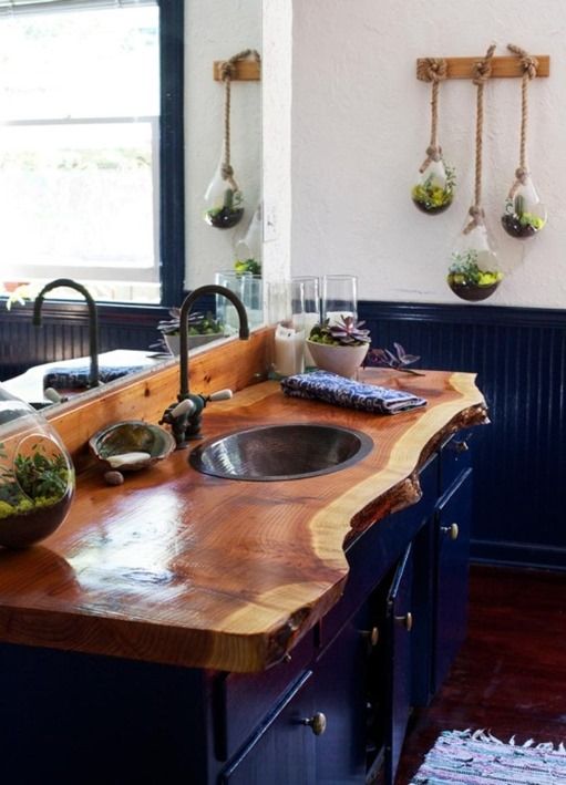 navy bathroom with succulent terrariums is made cozier with a raw wood edge countertop
