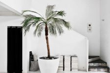 22 beach entryway with a large palm tree in a planter