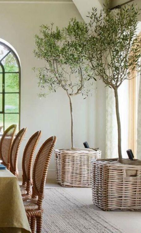 add a rustic touch to your dining space with trees in baskets