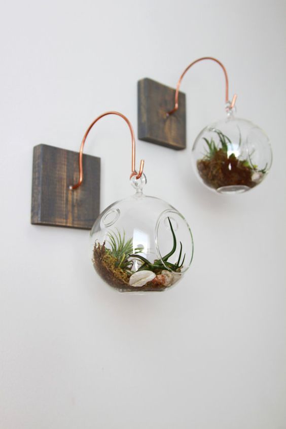 wood pieces with copper hangers, glass spheres with air plants