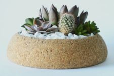 32 large cork planter with succulents and cacti