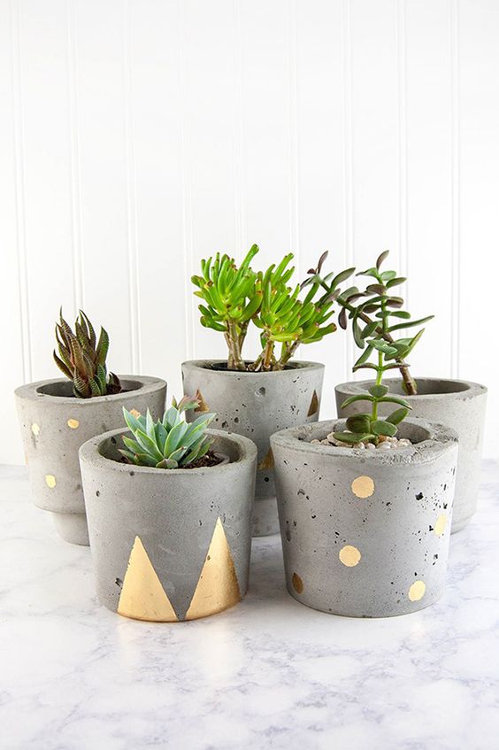 concrete planters for indoors and outdoors decorated with gold touches