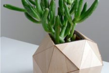 34 wooden geometric planter for a succulent