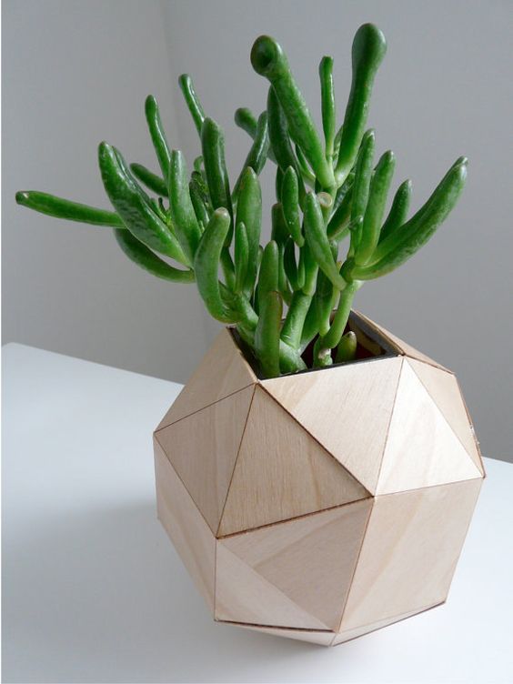 wooden geometric planter for a succulent