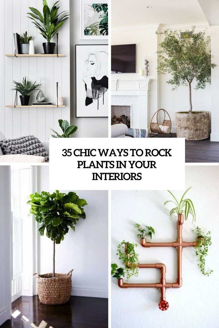 chic ways to rock plants in your interiors