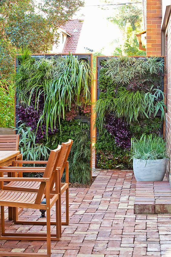 vertical living screens will not only give you privacy but also an amazing look to your backyard
