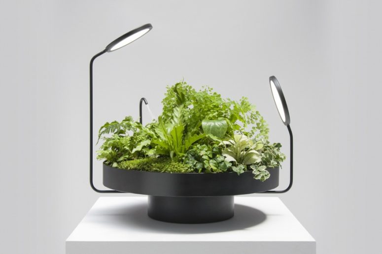 Viride Dos is a more traditional planter with lighting disks and a mister