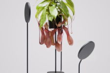 04 Viride Tres is a hanging planter with lights, it may be rotated, an ideal piece for capricious plants