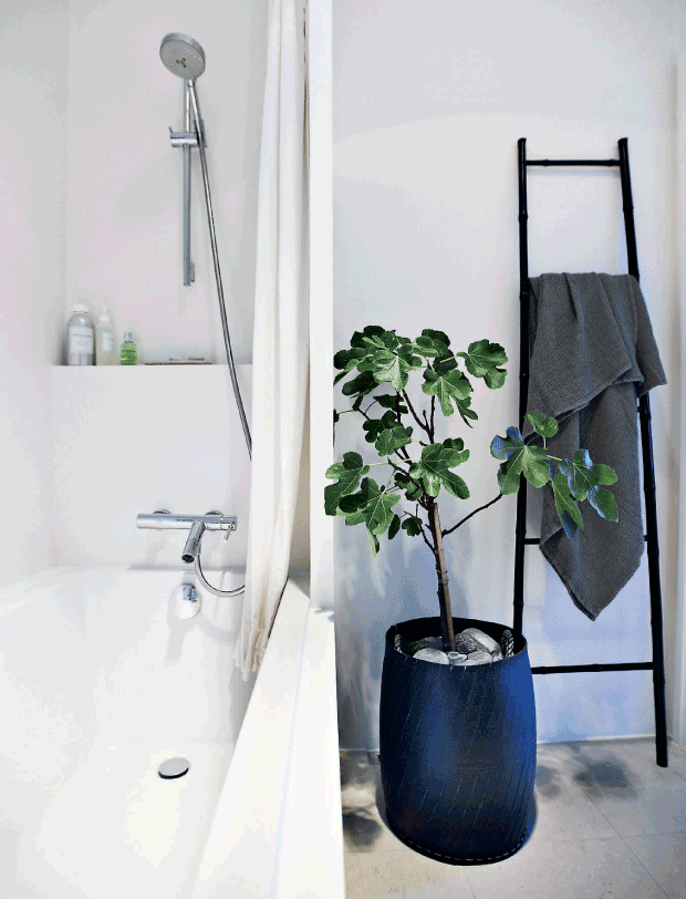 The bathroom is light and small but a potted plant and a black stairs for storage make it cool