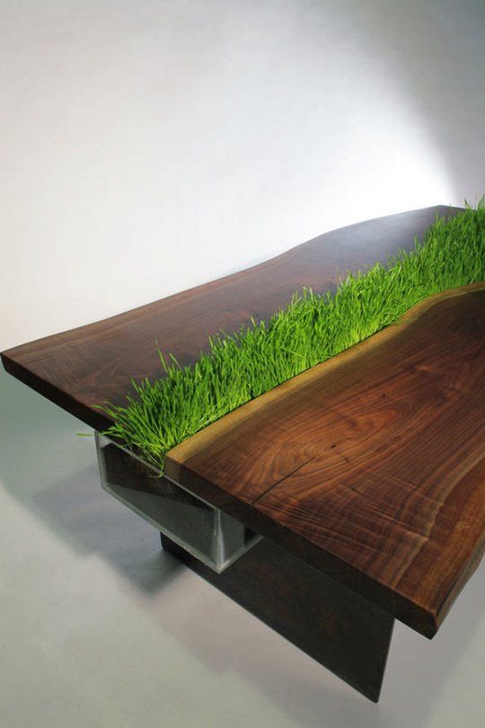 a dark stained wooden table with grass growing right in the center