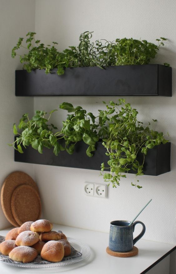 stylish modern chalkboard wall planters with fresh herbs