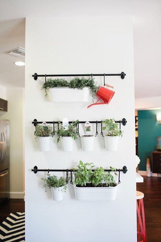 hang herbs in pots on metal shelves and have fresh greenery every time