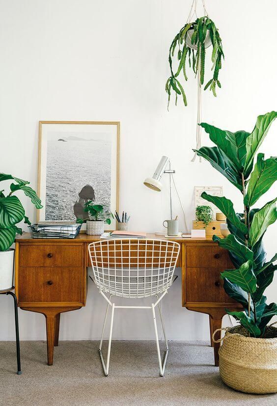 a hanging cactus over the desk and more plants make it super fresh