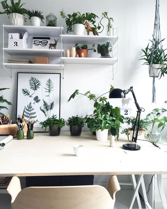 some potted plants make this workspace inviting