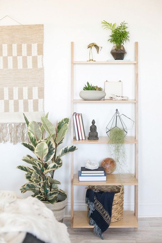a shelving unit with greenery on each shelf looks fresh and modern