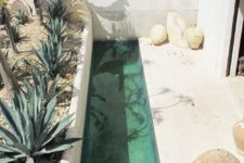 06 a tiny backyard with desert plants and a narrow pool to avoid heat