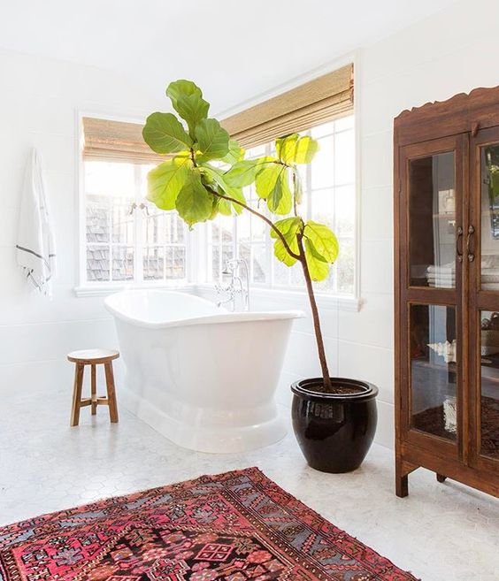 a large potted plant makes this space more chic