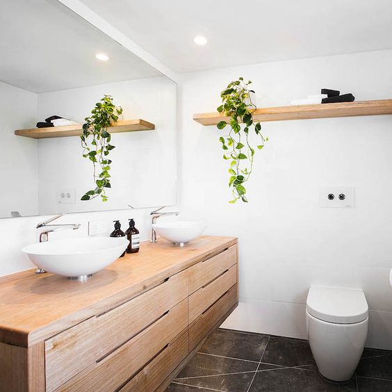 a climbing plant adds a natural feel to a laconic modern bathroom