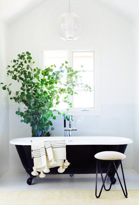 a black and white vintage-inspired bathroom with a large potted plant looks alive