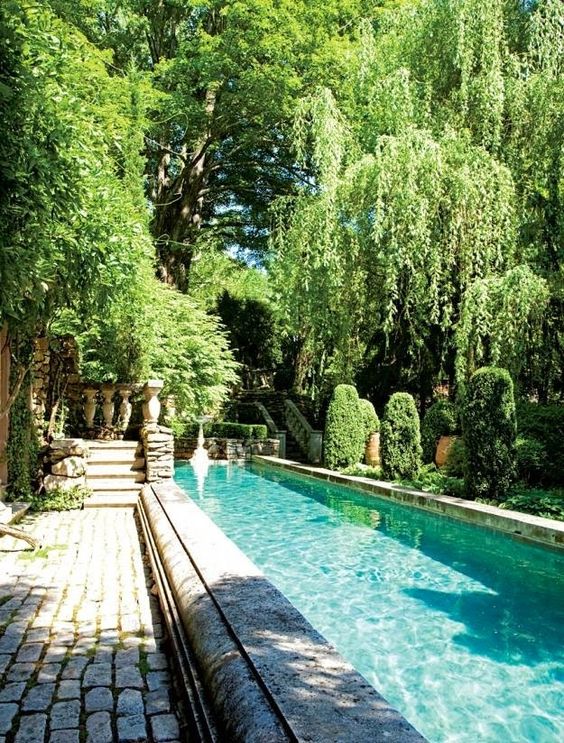 refined stone clad pool surrounded with greenery and with stone pavers