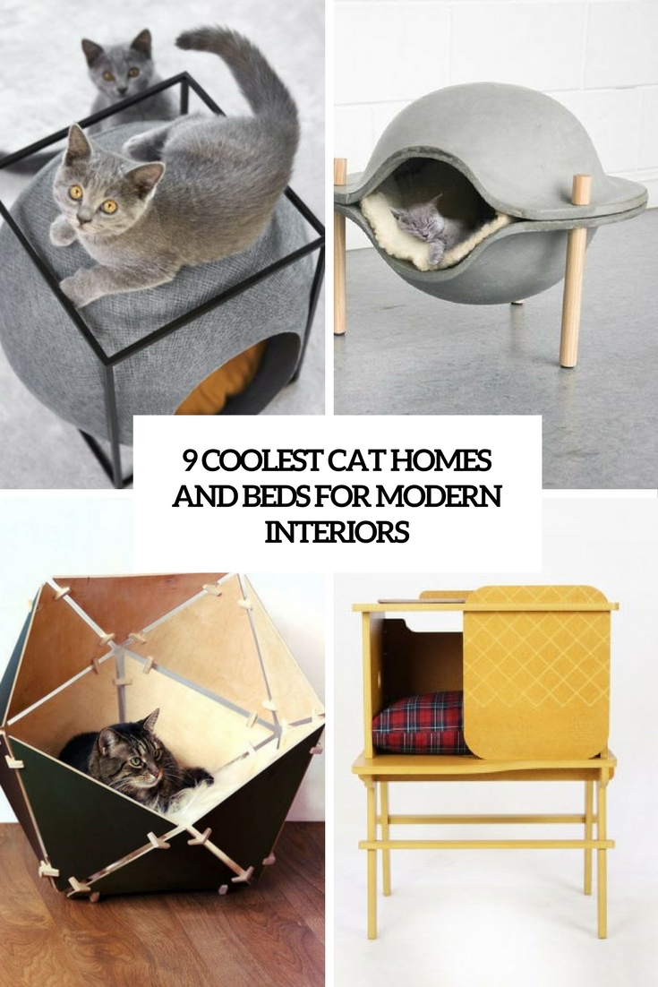 coolest cat beds and homes for modern interiors