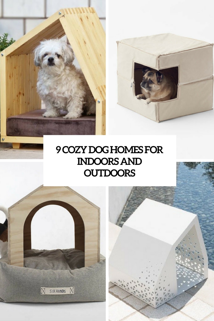 cozy dog homes for indoors and outdoors