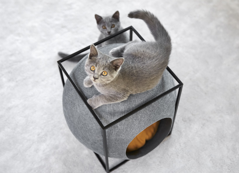 cube cat home by Meyou (via www.designboom.com)