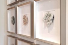 29 geodes in frames displayed as a gallery wall