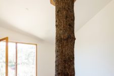 03 A mature and very tall tree rises through the floor and pierces the ceiling, its trunk becoming a part of the home