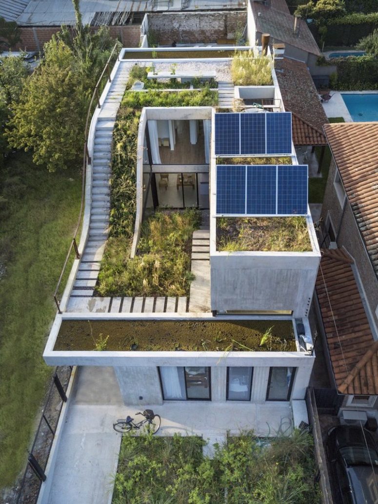 This unique house is built around a vertical garden and is very sustainable, with solar panels and rainwater usage