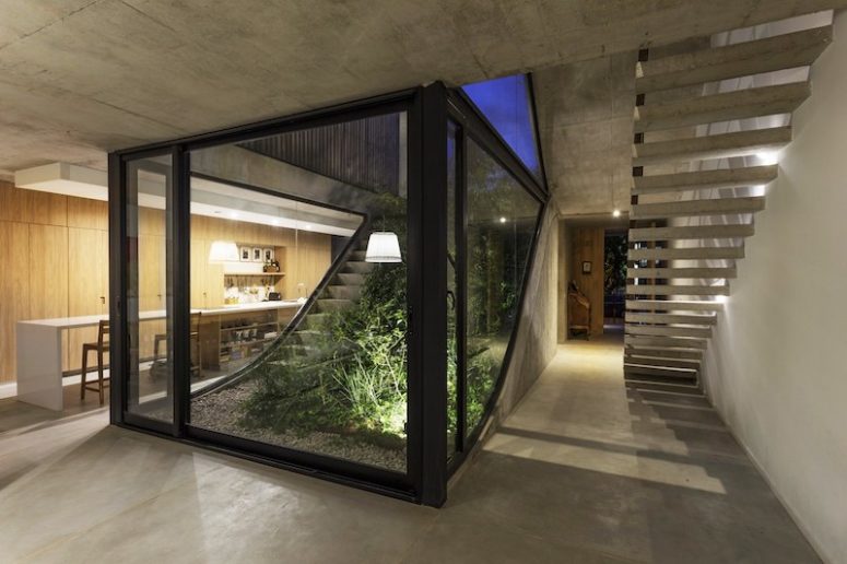 Vegetation grows alongside the concrete staircase which connects all the floors of the house