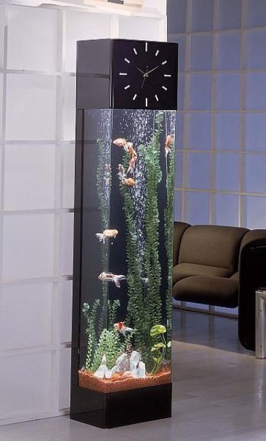 a modern grandfather's clock and aquarium in one will make a statement in your interior