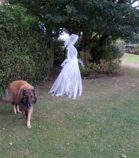 such a cheesecloth and wire ghost is great for scaring people outdoors