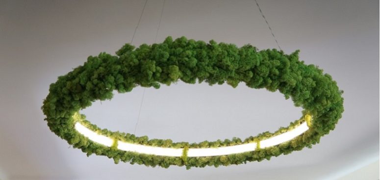 This unique luminaire is 100% eco friendly because it's covered with Icelandic moss, which is living and fresh   what a stunning look