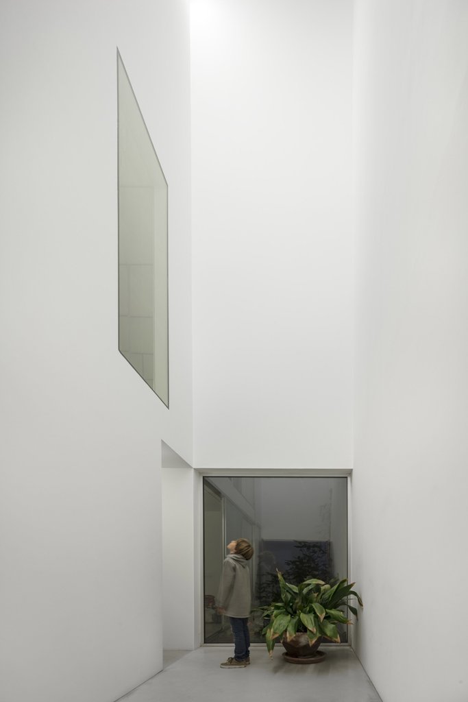 Series of windows and voids were added to fill the home with natural light