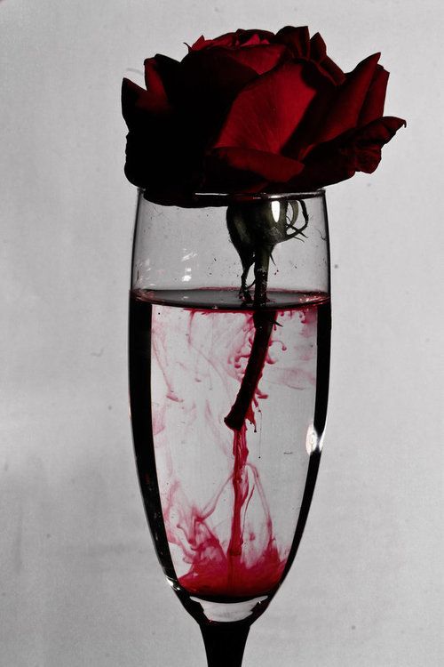 a glass with a red rose and fake blood as a centerpiece of decoration