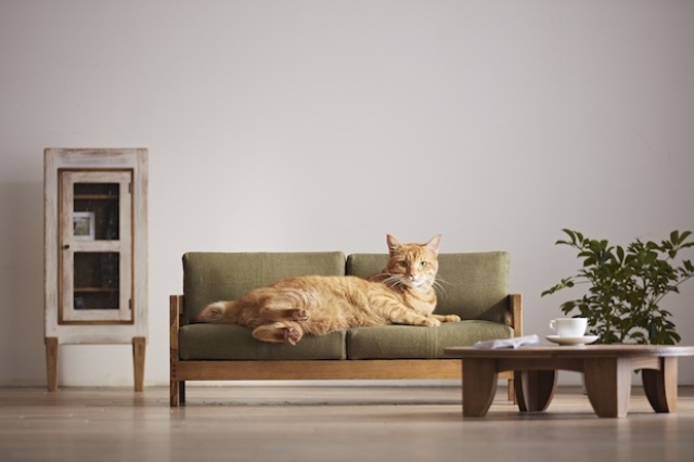 There are sofas and beds for kitties, made of natural wood and with natural fabric upholstery