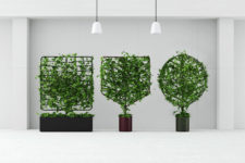 02 Each botanical planter screen functions in the same way as a single, self-watering planter pot