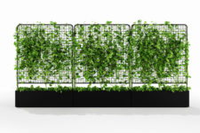 cool greenery wall that is easy to make