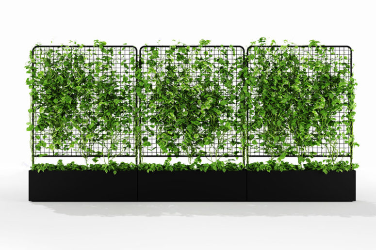 Waratah is utilitarian in nature, allowing people to create a straight wall of greenery